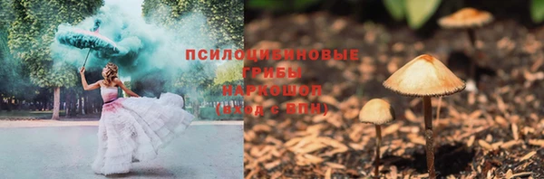 бошки Дмитров