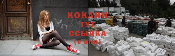 бошки Дмитров
