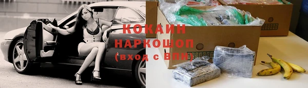 бошки Дмитров