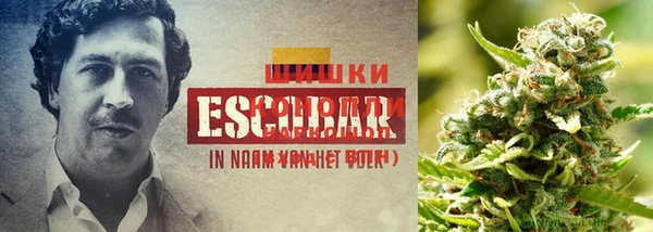 марки nbome Дмитриев