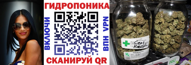 Конопля индика  наркотики  Евпатория 